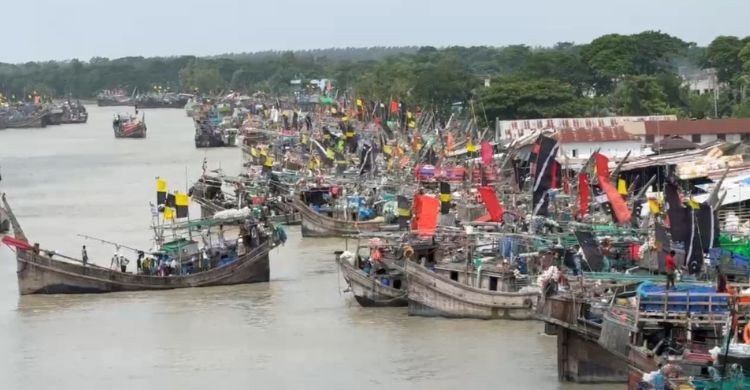 বৈরী আবহাওয়া ও সাগরে মাছ কম পাওয়ায় লোকসানে তীরে ফিরছেন জেলেরা